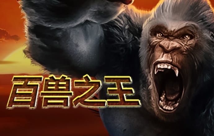 金刚区块链爆点